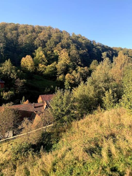 Am Hang Mit Malerischer Aussicht Apartment